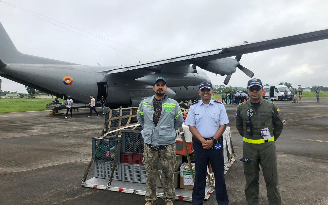 Fuerza Aérea Colombiana participó en operación de liberación de animales silvestres en el Caquetá 