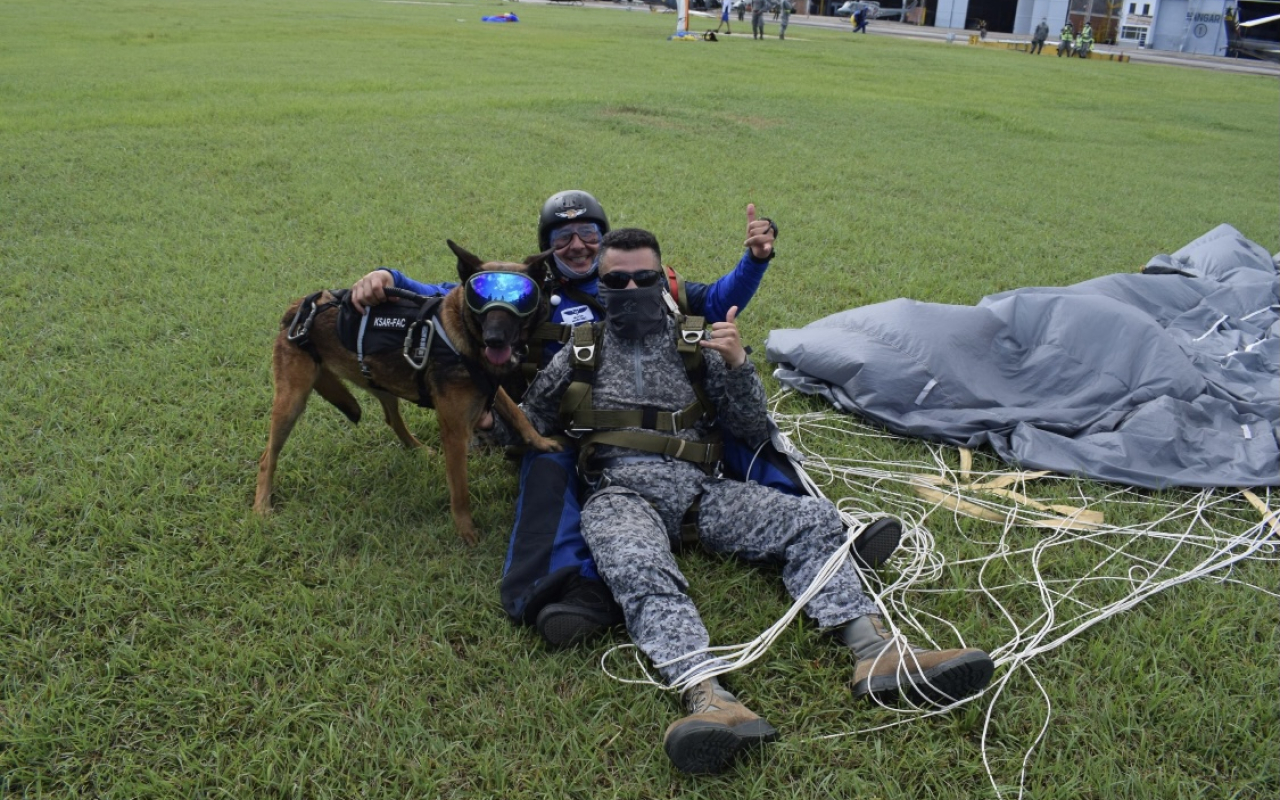 Paracaidismo canino militar Paracaidismo canino militar